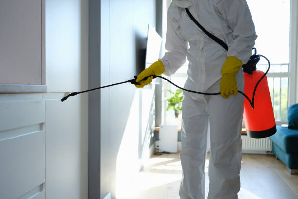 Best Residential Mold Removal  in South Euclid, OH